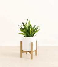 Load image into Gallery viewer, White stand:bamboo
