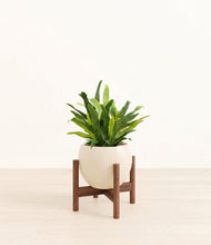 Load image into Gallery viewer, Shiny EggWhite stand:walnut
