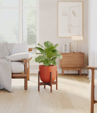 Lade das Bild in den Galerie-Viewer, Earth Red stand:walnut
