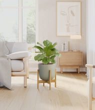 Lade das Bild in den Galerie-Viewer, Sage Green stand:bamboo
