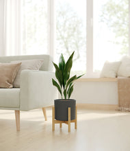 Load image into Gallery viewer, Dark Olive stand:bamboo
