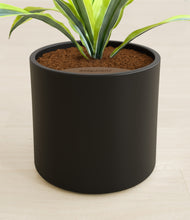 Lade das Bild in den Galerie-Viewer, Black stand:all
