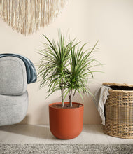 Charger l'image dans la galerie, Earth Red
