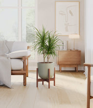 Charger l'image dans la galerie, Sage Green stand:dark
