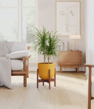 Charger l'image dans la galerie, Sunset Orange stand:dark
