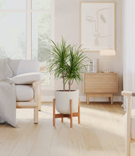 Charger l'image dans la galerie, Natural Bamboo stand:light
