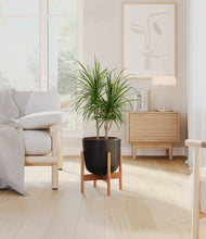 Charger l'image dans la galerie, Stone Black stand:light
