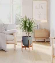 Charger l'image dans la galerie, Iron Gray stand:light
