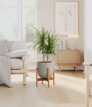 Charger l'image dans la galerie, Sage Green stand:light
