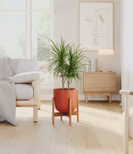 Charger l'image dans la galerie, Earth Red stand:light
