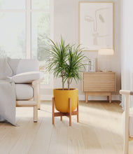 Charger l'image dans la galerie, Sunset Orange stand:light
