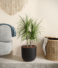 Charger l'image dans la galerie, Stone Black
