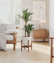 Load image into Gallery viewer, Natural Bamboo stand:walnut
