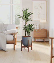 Load image into Gallery viewer, Iron Gray stand:walnut
