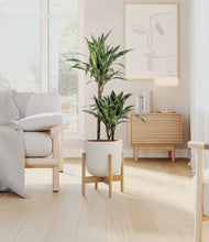 Load image into Gallery viewer, Natural Bamboo stand:bamboo
