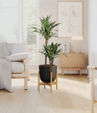 Load image into Gallery viewer, Stone Black stand:bamboo
