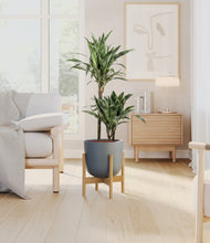 Load image into Gallery viewer, Iron Gray stand:bamboo
