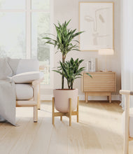 Load image into Gallery viewer, Sandy Pink stand:bamboo
