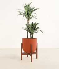 Load image into Gallery viewer, Earth Red stand:walnut

