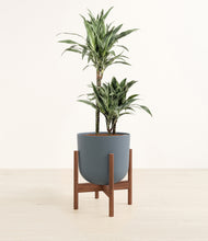 Load image into Gallery viewer, Iron Gray stand:walnut

