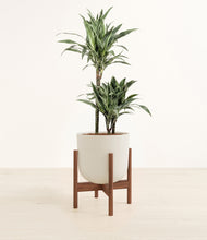 Load image into Gallery viewer, Natural Bamboo stand:walnut
