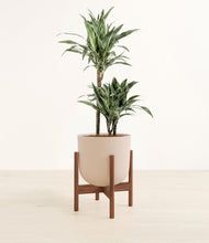 Load image into Gallery viewer, Sandy Pink stand:walnut
