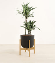 Load image into Gallery viewer, Stone Black stand:bamboo
