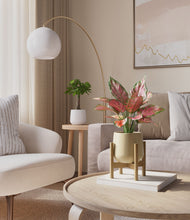 Load image into Gallery viewer, Buttercream stand:one_stand
