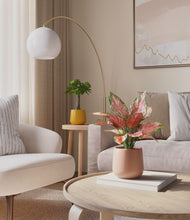 Load image into Gallery viewer, Sunset
