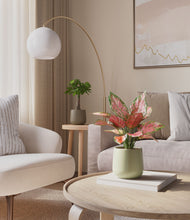 Load image into Gallery viewer, Woodland Hues
