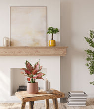 Load image into Gallery viewer, Sunset
