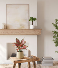 Load image into Gallery viewer, Buttercream
