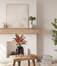 Load image into Gallery viewer, Orca stand:one_stand
