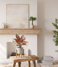 Load image into Gallery viewer, Rose Petal stand:one_stand
