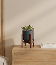 Load image into Gallery viewer, Iron Gray stand:walnut
