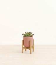 Load image into Gallery viewer, Striped Rose Pink stand:bamboo
