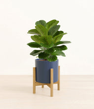 Load image into Gallery viewer, Deep Navy stand:bamboo
