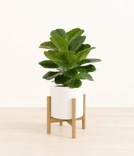Load image into Gallery viewer, White stand:bamboo
