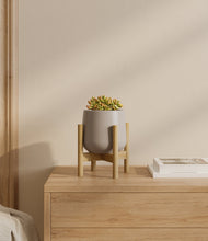 Load image into Gallery viewer, Eternal Gray stand:bamboo
