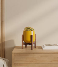 Load image into Gallery viewer, Mustard stand:walnut
