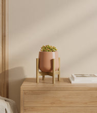 Load image into Gallery viewer, Calm Rose stand:bamboo
