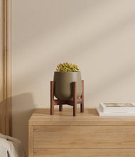 Load image into Gallery viewer, Olive stand:walnut

