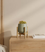 Load image into Gallery viewer, Turquoise stand:bamboo
