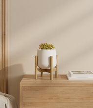 Load image into Gallery viewer, White stand:bamboo
