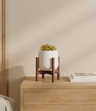 Load image into Gallery viewer, White stand:walnut
