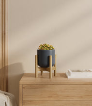 Load image into Gallery viewer, Iron Gray stand:bamboo
