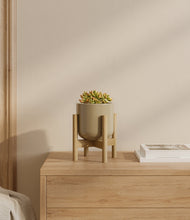 Load image into Gallery viewer, Sage Green stand:bamboo
