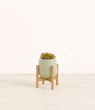 Load image into Gallery viewer, Turquoise stand:bamboo
