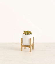 Load image into Gallery viewer, White stand:bamboo
