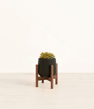 Load image into Gallery viewer, Black stand:walnut
